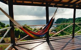 I View - In Long Bay